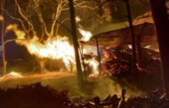 टिम्बर मार्केट के पास 2 लकड़ी के गोदामों में लगी भीषण आग, ढाई घंटे की मशक्कत के बाद पाया गया काबू